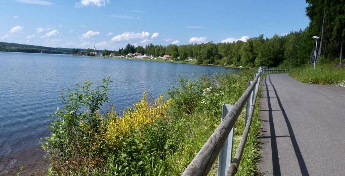 Holiday House Lipno-Slupecna Lipno nad Vltavou Buitenkant foto