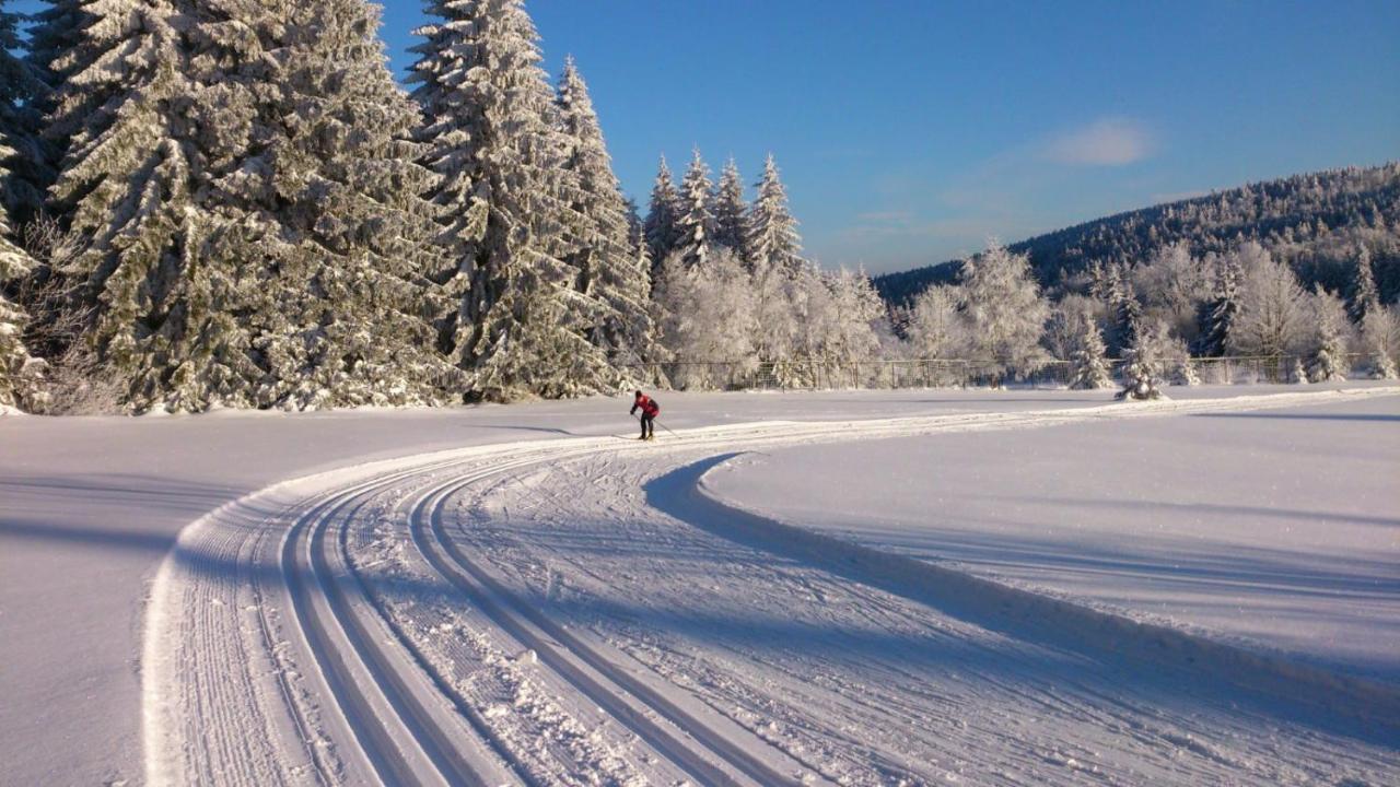 Holiday House Lipno-Slupecna Lipno nad Vltavou Buitenkant foto