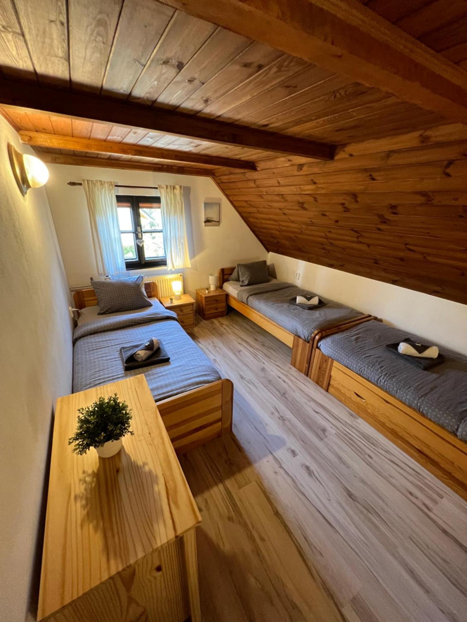 Holiday House Lipno-Slupecna Lipno nad Vltavou Buitenkant foto